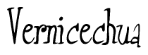 The image is of the word Vernicechua stylized in a cursive script.