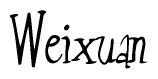 The image contains the word 'Weixuan' written in a cursive, stylized font.