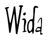 The image is of the word Wida stylized in a cursive script.