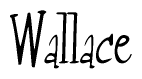 The image contains the word 'Wallace' written in a cursive, stylized font.