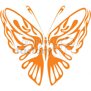 butterfly Orange