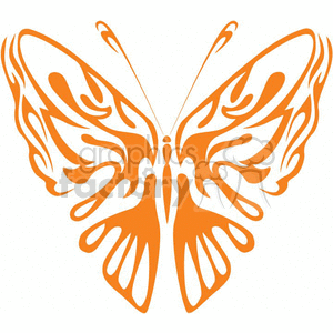 Butterfly Orange