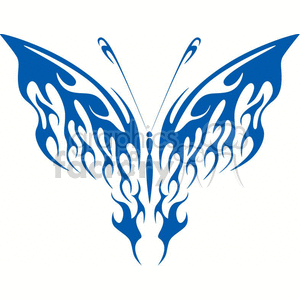 Blue fire butterfly