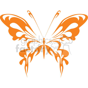 Orange butterfly