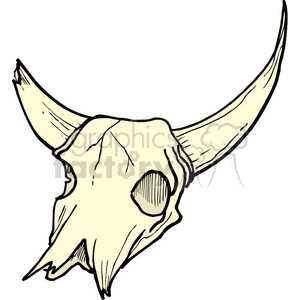 A detailed clipart image of a cattle skull with large, curved horns.