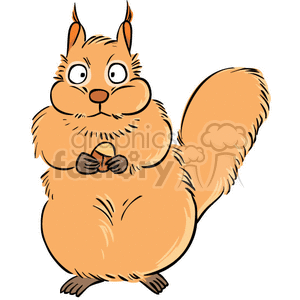 Squirrel eating nuts stuffed cheeks