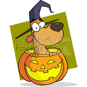 Halloween Crazy Dog 