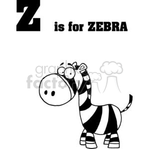 Zebra isolated on a white background