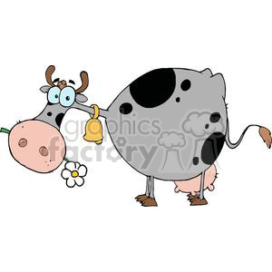 The clipart image shows a cartoon spotted cow. The cow is white with black spots, and it has a bell around its neck. The cow appears to be in a playful pose, standing with its head turned towards the viewer, tongue out, and holding a flower in its mouth. The cow also has prominent udders, which are commonly associated with milking and farm animals. Its tail is raised, and it appears to be in a happy or contented state.