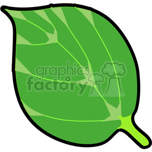 Red Mulberry Leaf in color