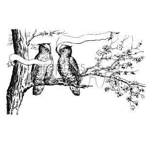 A black and white clipart image of two owls perched on a tree branch with a banner flowing above them. The branch has small leaves and blossoms.