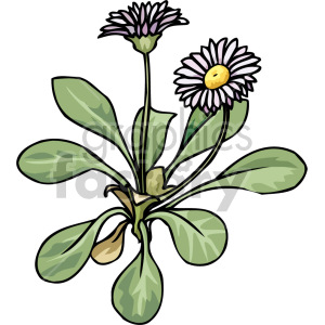 Clipart of two daisy flowers with green leaves.