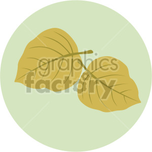 two leaves on green circle background