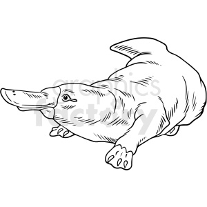 A detailed black and white clipart image of a platypus, showcasing its distinct beak and webbed feet.