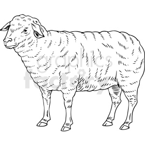 The image is a black and white clipart of a sheep. The sheep is standing and is depicted in profile, facing to the left. It has a full fleece, and the detailing on the image suggests a woolly texture. The sheep's facial features, including its eyes, nose, and ears, are clearly visible.