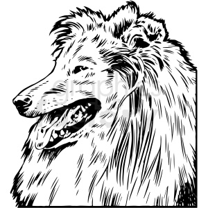 Collie Dog Illustration Similar to Lassie