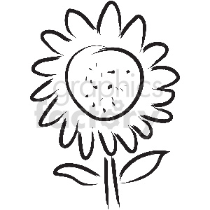 A black and white clipart illustration of a sunflower with prominent petals and leaves.