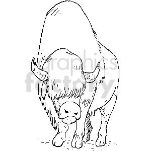 This clipart image features a bison, also commonly referred to as a buffalo in North America. The image is a black and white line drawing that showcases the animal's heavy front body, large head, curved horns, and shaggy fur.