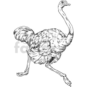 Black and white clipart illustration of an ostrich running