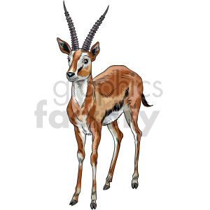 The image depicts a clipart illustration of a gazelle. The animal is standing upright, and the illustration highlights its slender build, tan and white coloration, long, ringed horns, and alert expression.