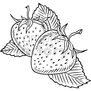 This clipart image features a black and white line drawing of two strawberries with leaves.