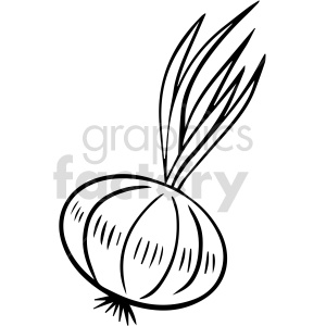 Black and white clipart image of an onion with leaves.