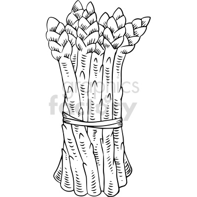 Clipart image of a bunch of asparagus spears tied together.