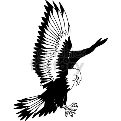 Clipart image of a black and white eagle in flight with outstretched wings and a focused expression.