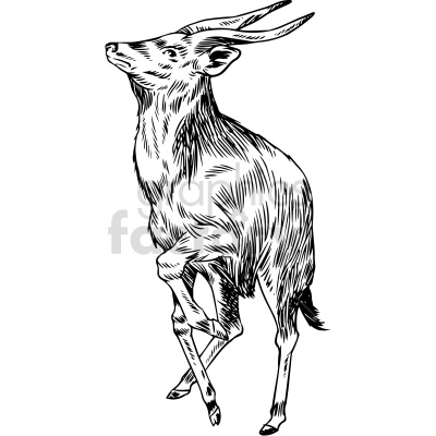 Black and white clipart of an antelope standing on three legs with one leg raised, looking upward. The art has detailed line work to highlight the texture of the fur and antlers.
