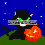 animated black kitten with a pumpkin