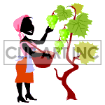 Animated lady picking grapes.
