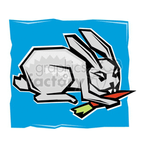 Gray rabbit eating a carrot