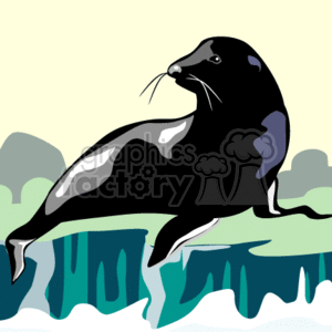 The image shows a black seal perched atop a large blue and green iceberg. The seal is dark in color, with a few white markings