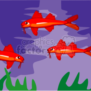The clipart image shows 3 orange fish swimming in the sea or a lake. Two of them are swimming to the left, and one to the right. They are all orange with a lighter orange stripe down them.