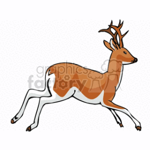 The clipart image features a stylized representation of a brown deer in motion. The deer is depicted with prominent antlers, which suggests that it is a male, and it appears to be running or leaping, as indicated by its extended legs and dynamic pose.