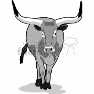 Ox with Large Horns