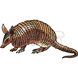 Cartoon Armadillo – Desert Wildlife