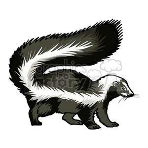 The clipart image features a skunk, identified by its characteristic black and white fur and its large, bushy tail.