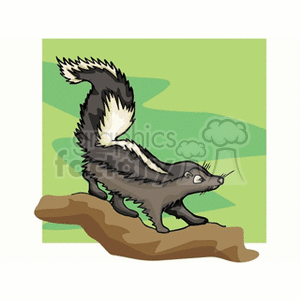 Cartoon Skunk with Raised Tail Illustration - Animal Defense