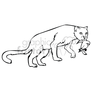Line art of a panther walking with a catch