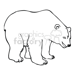 Line art drawing of a polar bear