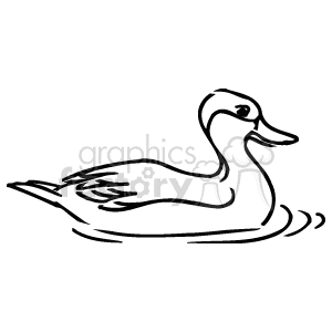   The image is a line drawing or clipart of a duck. The duck is depicted swimming on water, with its body in profile, beak pointed forward, and ripples around it indicating movement through the water. The lines are simple and clean, indicating it