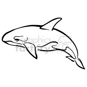   The image appears to be a black and white line art or clipart of a whale. It