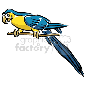 The clipart image shows a stylized illustration of a parrot, specifically resembling a macaw. The parrot is primarily blue and yellow, with a large tail and it is perched on a branch.