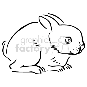 The image is a black-and-white outline drawing of a rabbit. It is composed of white lines. The rabbit is sitting side-on, facing towards the right. 