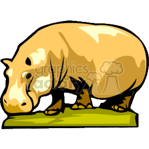   The clipart image shows a cartoon hippopotamus standing on its four feet and facing to the viewer