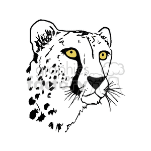 Black and white cheetah with vibrant yellow eyes