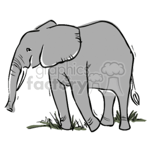 The clipart image portrays a hand-drawn elephant in a standing position with its trunk down and its ears spread wide. The style of the drawing is simple and cartoonish, with bold outlines and minimal detail. It is standing on grass.