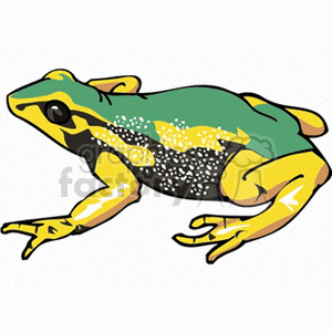 This clipart image features a stylized representation of a frog. The frog is primarily green with yellow limbs and a pattern that includes yellow and black spots on its back. The image is cartoonish and simplified, suitable for educational materials, children's books, or decorative purposes that relate to amphibians, rainforest wildlife, or environmental themes.