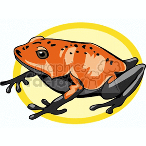 Poisonous dart frog